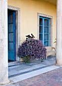 SICILY  ITALY: CASA CUSENI IN TAORMINA - TERRACOTTA AND MARBLE TILED TERRACE / PATIO WITH BLUE DOORS AND CONTAINER PLANTED WITH SUCCULENTS - MEDITERRANEAN