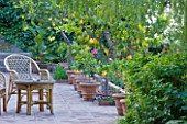 SICILY  ITALY: CASA CUSENI IN TAORMINA - TERRACOTTA TERRACE / PATIO WITH WRATTEN CHAIRS AND TERRACOTTA CONTAINERS WITH YOUNG CITRUS TREES - A PLACE TO SIT  MEDITERRANEAN