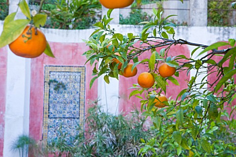 SICILY__ITALY_CASA_CUSENI_IN_TAORMINA__UPPER_TERRACE_WITH_ORANGE_TREES_AND_ANCIENT_SICILIAN_AND_TURK