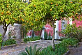SICILY  ITALY: CASA CUSENI IN TAORMINA - UPPER TERRACE WITH PEBBLEWORK MOSAIC  ORANGE TREES  IRISES AND A RECTANGUALR POOL FILLED WITH PAPYRUS   ANCIENT SICILIAN AND TUNISIAN TILES