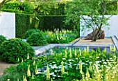 CHELSEA FLOWER SHOW 2014: LAURENT PERRIER GARDEN BY LUCIANO GIUBBILEI - METAL WATER RILL WITH POOL AND PLANTING OF LUPINS AND ORLAYA GRANDIFLORA