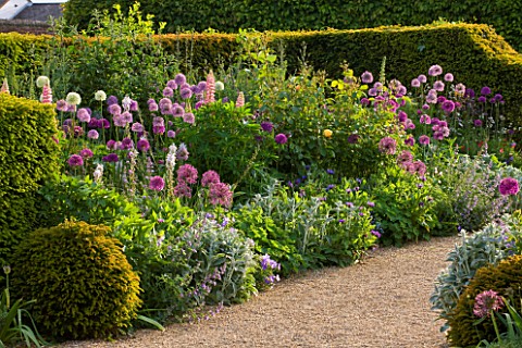 ARUNDEL_CASTLE_GARDENS__WEST_SUSSEX_BORDER_WITH_ALLIUMS_AND_YEW_HEDGING