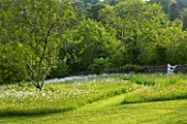 ROCKCLIFFE HOUSE  GLOUCESTERSHIRE: PATH THROUGH THE MEADOW WITH OXE-EYE DAISIES