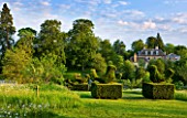 ROCKCLIFFE HOUSE  GLOUCESTERSHIRE: MEADOW WITH OXE - EYE DAISIES  TOPIARY BIRDS AND HOUSE BEYOND