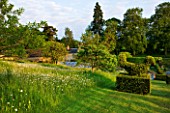 ROCKCLIFFE HOUSE  GLOUCESTERSHIRE: MEADOW WITH OXE - EYE DAISIES AND TOPIARY BIRDS
