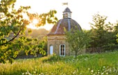 ROCKCLIFFE HOUSE  GLOUCESTERSHIRE: MEADOW WITH OXE - EYE DAISIES AND STONE DOVECOT