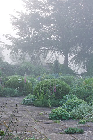 ROCKCLIFFE_HOUSE_GLOUCESTERSHIRE_THE___GREEN_COUNTRY_GARDEN_ROMANTIC_MIST_FOG__TERRACE__PATIO_WITH_F
