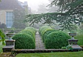 ROCKCLIFFE HOUSE, GLOUCESTERSHIRE: ROW OF CLIPPED TIOPIARY BALLS WITH PATH AND CONTAINERS, CEDAR OF LEBANON   - GREEN, HEDGE, COUNTRY GARDEN, SUMMER, MIST, FOG, ROMANTIC