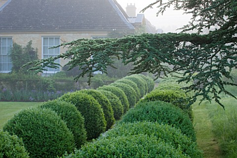 ROCKCLIFFE_HOUSE_GLOUCESTERSHIRE_HOUSE_WITH_CLIPPED_TOPIARY_BALLS_AND_CEDAR_OF_LEBANON__GREEN_COUNTR