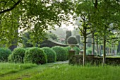 ROCKCLIFFE HOUSE, GLOUCESTERSHIRE: ROW OF CLIPPED TOPIARY BOX BALLS AND YEW HEDGE - GREEN, FOG, MIST, COUNTRY GARDEN, ROMANTIC, TREE, TREES