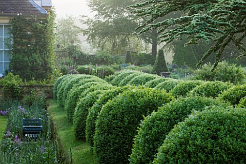 ROCKCLIFFE_HOUSE_GLOUCESTERSHIRE_HOUSE_WITH_CLIPPED_TOPIARY_BALLS_AND_CEDAR_OF_LEBANON__GREEN_SUMMER