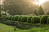 ROCKCLIFFE HOUSE, GLOUCESTERSHIRE: ROW OF CLIPPED TOPIARY BALLS AT DAWN  - GREEN, SUMMER, MIST, FOG, ROMANTIC, COUNTRY GARDEN