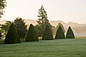 ROCKCLIFFE HOUSE, GLOUCESTERSHIRE: VIEW ACROSS LAWN TO CLIPPED TOPIARY BEECH PYRAMIDS. MIST, FOG, GREEN, SUMMER