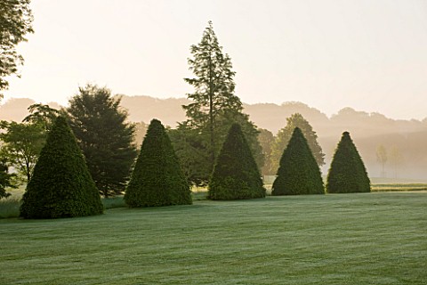 ROCKCLIFFE_HOUSE_GLOUCESTERSHIRE_VIEW_ACROSS_LAWN_TO_CLIPPED_TOPIARY_BEECH_PYRAMIDS_MIST_FOG_GREEN_S