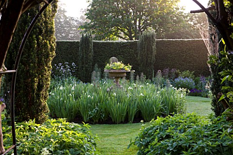 ROCKCLIFFE_HOUSE_GLOUCESTERSHIRE_ENCLOSED_GARDEN_WITH_YEW_HEDGING_AND_CENTRAL_BED_PLANTED_WITH_WHITE