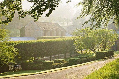 ROCKCLIFFE_HOUSE_GLOUCESTERSHIRE_FRONT_DRIVE_WITH_CLIPPED_TOPIARY_HEDGING_ON_STILTS__GREEN