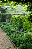 ROCKCLIFFE HOUSE, GLOUCESTERSHIRE: BORDER WITH GRAVEL PATH LEADING UP TO WHITE GATE IN WALL WITH TOPIARY BIRDS LEADING UP TO DOVECOT. COUNTRY GARDEN, SUMMER