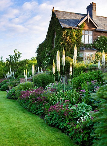 BROCKHAMPTON_COTTAGE_HEREFORDSHIRE_BORDER_BY_LAWN_WITH_VICTORIAN_HOUSE__CRIMSON_ASTRANTIA_AND_WANDS_