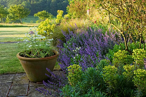 BROCKHAMPTON_COTTAGE_HEREFORDSHIRE_BORDER_BY_TERRACE__PATIO_WITH_TERRACOTTA_CONTAINER_AND_BORDER_OF_