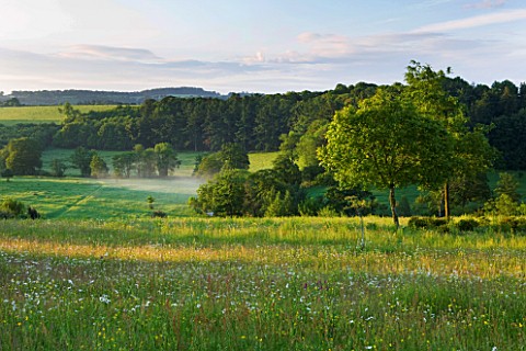 BROCKHAMPTON_COTTAGE_HEREFORDSHIRE_WILDFLOWER_MEADOW_WITH_VIEW_OF_COUNTRYSIDE__OXE_EYE_DAISIES__LEUC