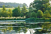 BROCKHAMPTON COTTAGE, HEREFORDSHIRE: VIEW ACROSS THE LAKE / POND TO COUNTRYSIDE BEYOND - SUMMER, JUNE, WATER