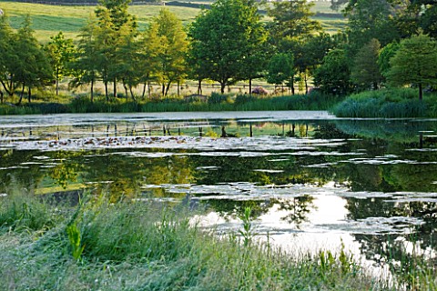 BROCKHAMPTON_COTTAGE_HEREFORDSHIRE_VIEW_ACROSS_THE_LAKE__POND_TO_COUNTRYSIDE_BEYOND__SUMMER_JUNE_WAT