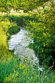 BROCKHAMPTON COTTAGE, HEREFORDSHIRE: THE STREAM IN SUMMER, JUNE, ROMANTIC, WOODLAND, GREEN, WATER