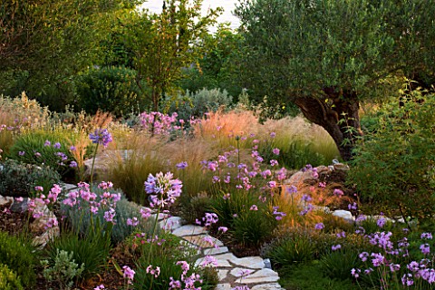 CORFU_GREECE__THE_KASSIOPIA_ESTATE_THE_GARDEN_WITH_STONE_PATH_AND_PLANTING_SCHEME_WITH_STIPA_TENUISS