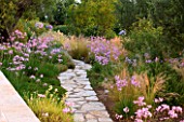 CORFU, GREECE - THE KASSIOPIA ESTATE: THE GARDEN WITH STONE PATH AND PINK FLOWERS OF TULBAGHIA VIOLACEA