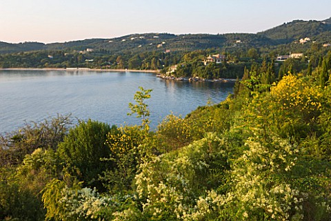 CORFU_GREECE__THE_KASSIOPIA_ESTATE_VIEW_OF_THE_BAY_FROM_THE_VILLA_TERRACE_WITH_NATIVE_TREES_AND_PLAN