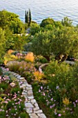 CORFU, GREECE - THE KASSIOPIA ESTATE. VIEW FROM THE TERRACE WITH OLIVE AND CYPRESS TREES AND WINDING STONE PATH WITH TULBAGHIA VIOLACEA AND STIPA TENUISSIMA
