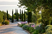 CORFU, GREECE - THE KASSIOPIA ESTATE. THE DRIVEWAY LEADING TO THE VILLA WITH CYPRESS AND OLIVE TREES UNDERPLANTED WITH TULBAGHIA VIOLACEA. HOT, DRY PLANTING SCHEME.