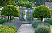 POULTON HOUSE GARDEN, WILTSHIRE: LAWN, GRAVEL PATH -  CLIPPED TOPIARY, DOMED PRUNUS LUSITANICA WITH LAVENDER HIDCOTE LEADING TO WALLED GARDEN -  HERACLITUS STATUE BY EMILY YOUNG