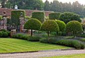 POULTON HOUSE GARDEN, WILTSHIRE: LAWN, GRAVEL PATH -  CLIPPED TOPIARY, DOMED PRUNUS LUSITANICA WITH LAVENDER HIDCOTE LEADING TO WALLED GARDEN - GREEN, COUNTRY GARDEN, SUMMER