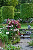 POULTON HOUSE GARDEN, WILTSHIRE: THE WALLED ROSE GARDEN - ROSES GROWING ON THE WALL - PATH UP TO LAWN WITH CLIPPED TOPIARY QUERCUS ILEX TREES - COUNTRY GARDEN, SUMMER