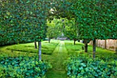 POULTON HOUSE GARDEN, WILTSHIRE: AN ARCH OF HORNBEAM HEDGING LEADS INTO THE ORCHARD, WITH APPLE, CRAB APPLE AND GREENGAGE TREES. WITH ALCHEMILLA MOLLIS IN FOREGROUND