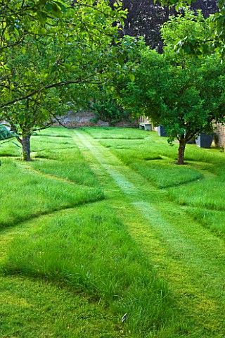POULTON_HOUSE_GARDEN_WILTSHIRE_SYMMETRICAL_GRASS_PATHS_IN_LAWN_IN_ORCHARD