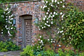 POULTON HOUSE GARDEN, WILTSHIRE: BEAUTIFUL ORNATE WOODEN DOOR IN WALL WITH CLIMBING ROSES AND ALCHEMILLA MOLLIS