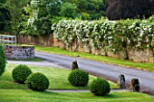 POULTON HOUSE GARDEN, WILTSHIRE: MAIN DRIVE WITH BOX BALLS AND ROSES CLIMBING OVER WALL