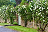 POULTON HOUSE GARDEN, WILTSHIRE: THE WALLED GARDEN WITH CLIMBING ROSES AND PAINTED DOOR