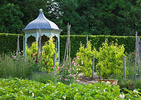 POULTON_HOUSE_GARDEN_WILTSHIRE_TIMBER_AND_LEAD_PAVILLION_IN_THE_KITCHEN_GARDEN_WITH_SWEET_PEAS