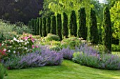 POULTON HOUSE GARDEN, WILTSHIRE: A ROW OF IRISH YEW TREES TO THE RIGHT OF THE LONG BORDER WITH ROSES THE GENEROUS GARDENER & GERTRUDE JEKYLL , BRONZE FENNEL AND NEPETA