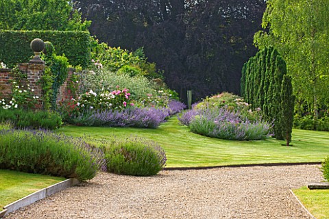 POULTON_HOUSE_GARDEN_WILTSHIRE_A_ROW_OF_IRISH_YEW_TREES_TO_THE_RIGHT_OF_THE_LONG_BORDER_WITH_ROSES_T