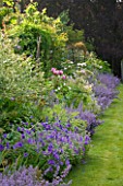 POULTON HOUSE GARDEN, WILTSHIRE: LONG BORDER IN SUMMER WITH NEPETA, GERANIUMS AND ROSES