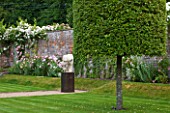 POULTON HOUSE GARDEN, WILTSHIRE: WALLED GARDEN IN SUMMER WITH ROSES, CLIPPED QUERCUS ILEX TREE AND STONE SCULPTURE ON GRAVEL PATH - MARBLE SCULPTURE - HERACLITUS - BY EMILY YOUNG
