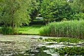 POULTON HOUSE GARDEN, WILTSHIRE: VIEW OF THE LAKE IN SUMMER WITH WATERLILIES AND GRASS PATH WITH VISTA THROUGH TREES