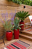 BEN DE LISI HOUSE AND GARDEN, LONDON: BRAZILIAN HARDWOOD DECKING WITH RED CONTAINERS PLANTED WITH AGAVE, PEROVSKIA AND A FERN, DECK, DECKING, FENCE, FENCING, PATIO, SUMMER, CARPET