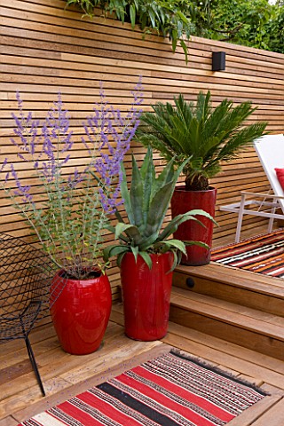 BEN_DE_LISI_HOUSE_AND_GARDEN_LONDON_BRAZILIAN_HARDWOOD_DECKING_WITH_RED_CONTAINERS_PLANTED_WITH_AGAV