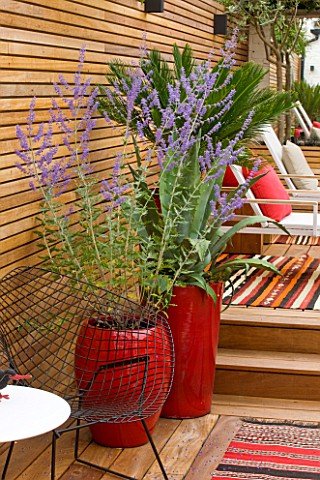 BEN_DE_LISI_HOUSE_AND_GARDEN__LONDON_BRAZILIAN_HARDWOOD_DECKING_WITH_RED_CONTAINERS_PLANTED_WITH_PER