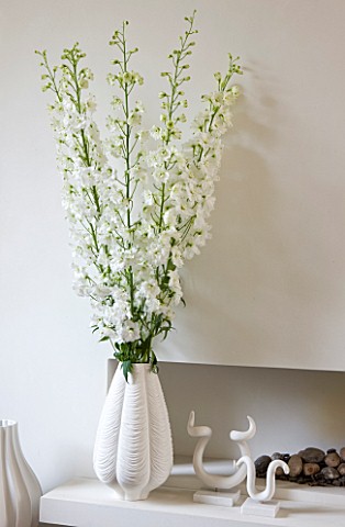 BEN_DE_LISI_HOUSE_AND_GARDEN__LONDON_THE_LIVING_ROOM_WITH_WHITE_DELPHINIUMS_IN_A_VASE_BESIDE_THE_LIM